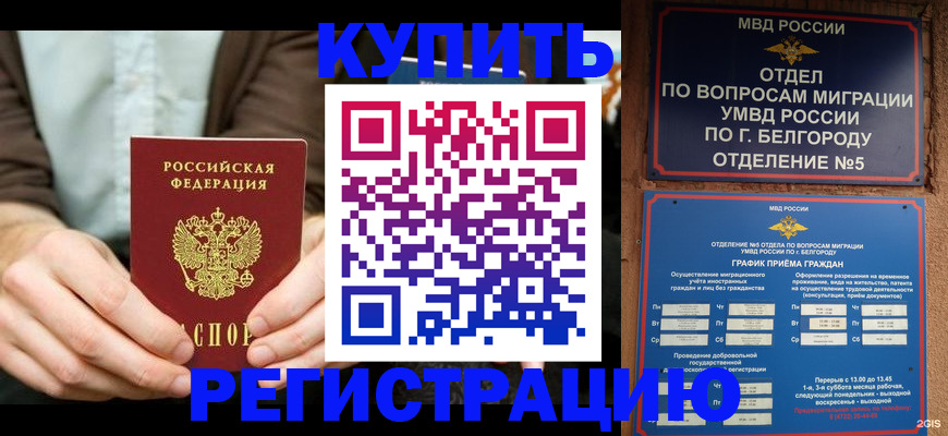 прописка 2025 в Михайловке
